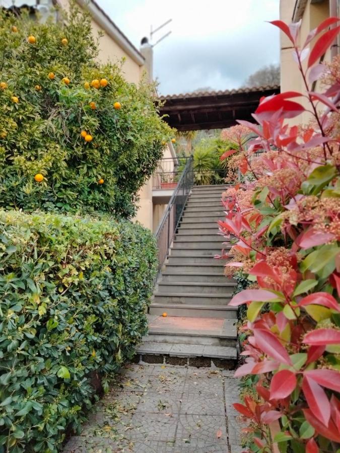 Sguardo sul lago Trevignano Romano Exterior foto