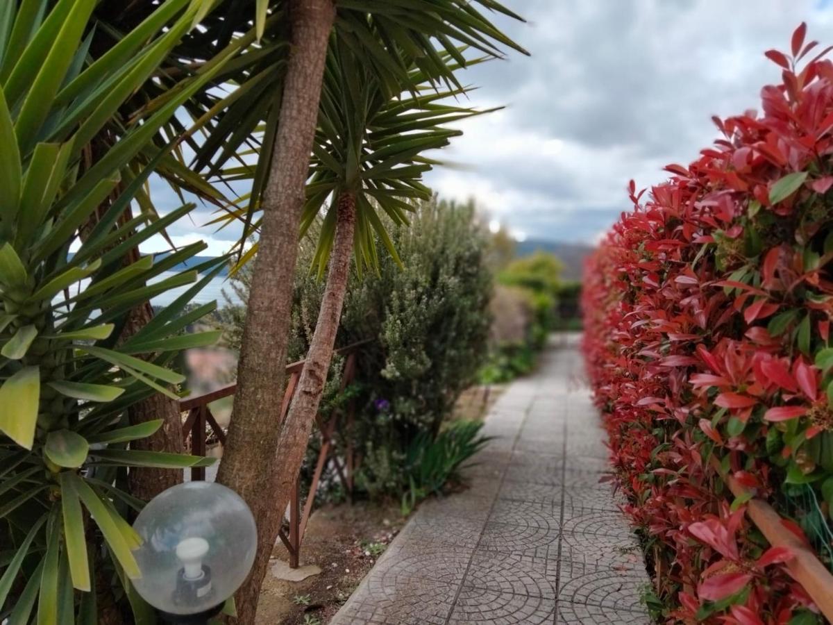 Sguardo sul lago Trevignano Romano Exterior foto