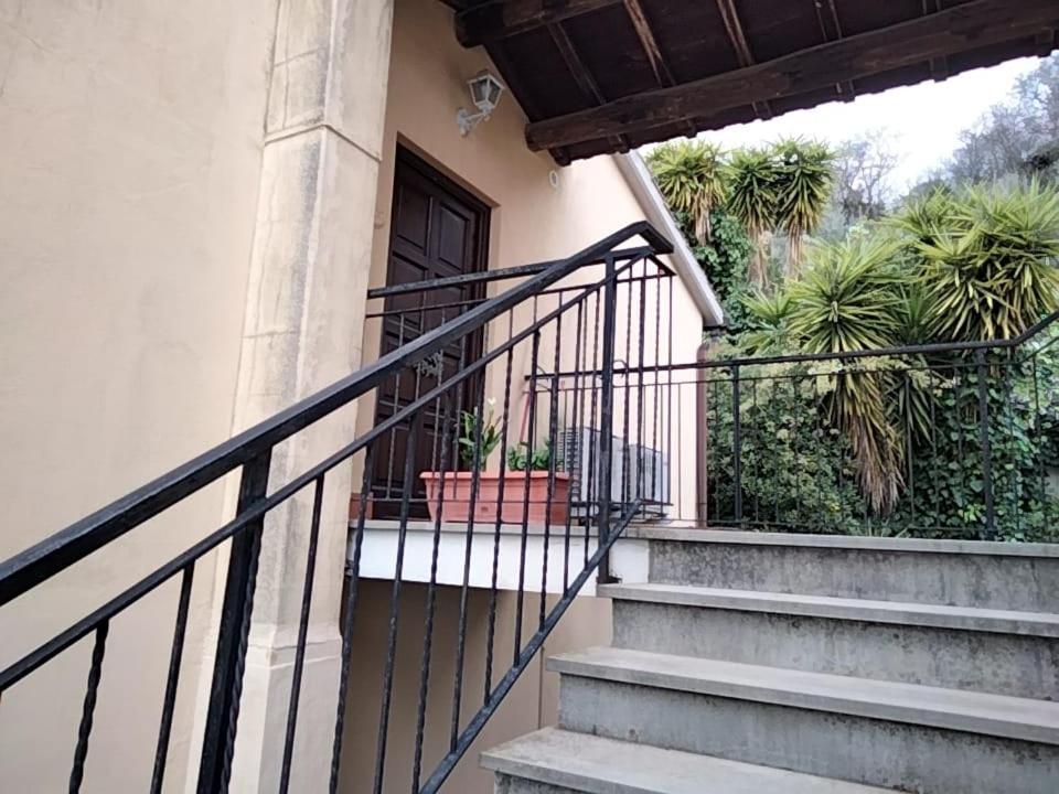 Sguardo sul lago Trevignano Romano Exterior foto